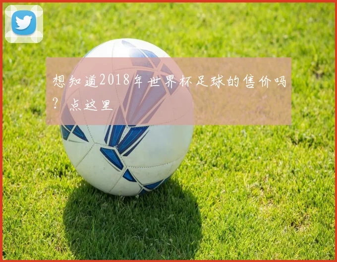 想知道2018年世界杯足球的售价吗？点这里