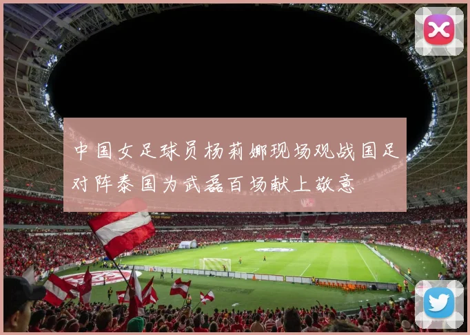 中国女足球员杨莉娜现场观战国足对阵泰国为武磊百场献上敬意