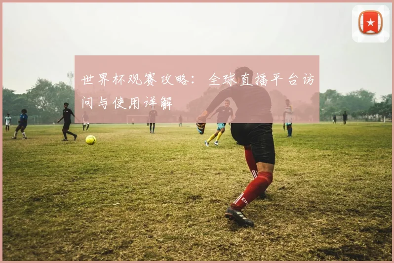 世界杯观赛攻略：全球直播平台访问与使用详解