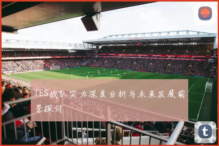 TES战队实力深度分析与未来发展前景探讨