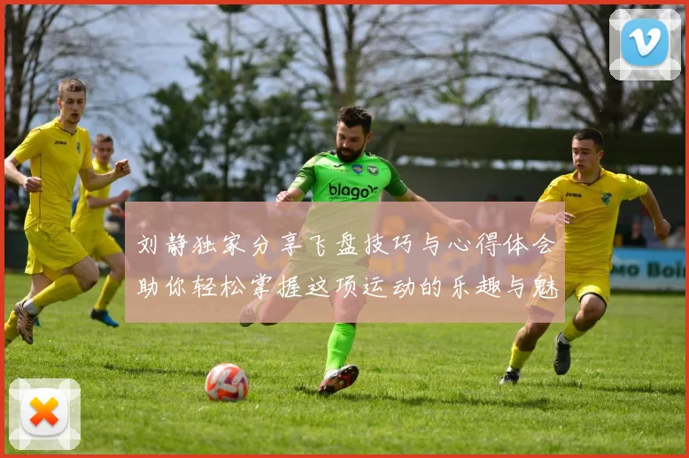 刘静独家分享飞盘技巧与心得体会助你轻松掌握这项运动的乐趣与魅力