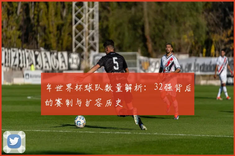 年世界杯球队数量解析：32强背后的赛制与扩容历史